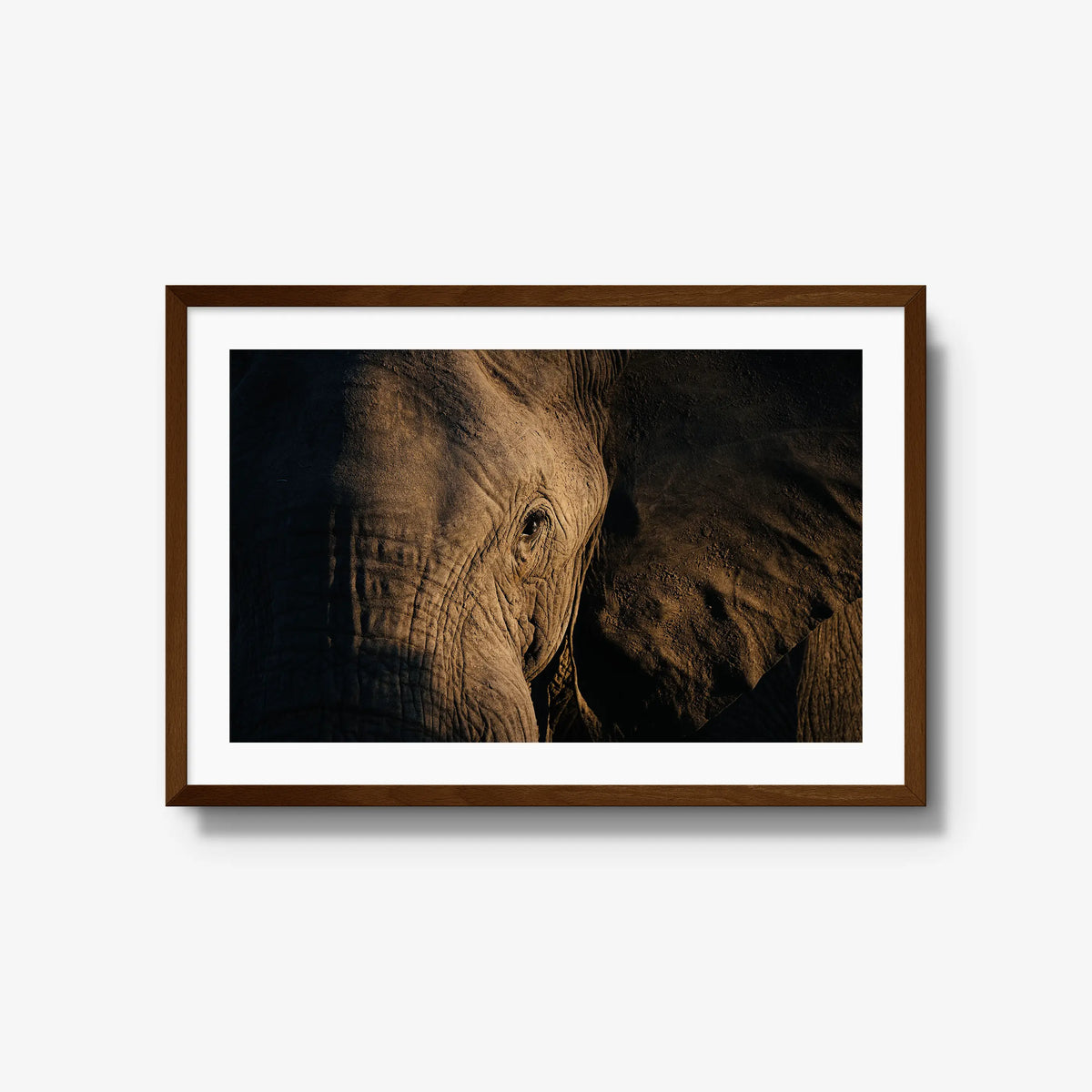 Etched — large / brown / mat