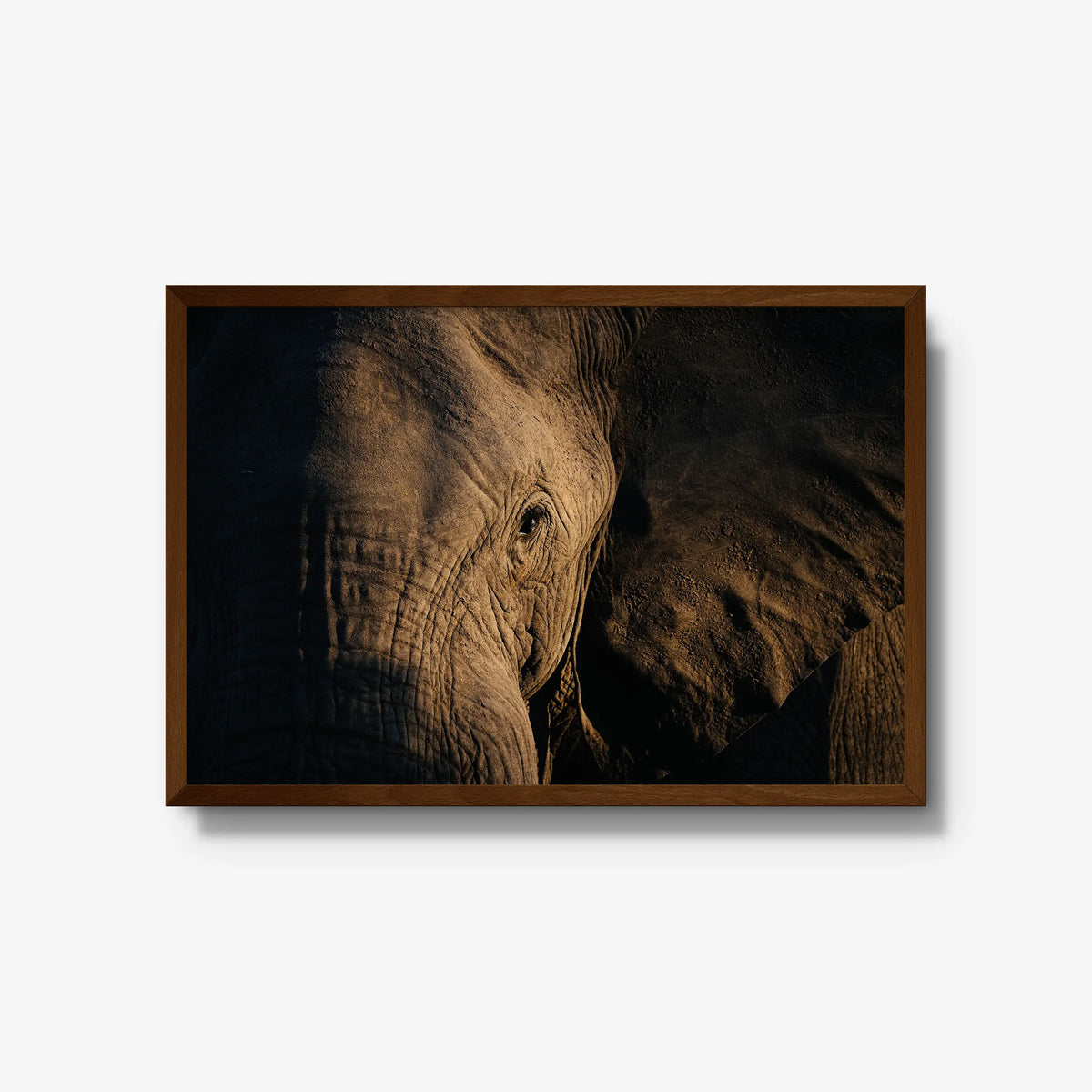 Etched — large / brown / full