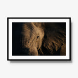 Etched — gallery / black / mat