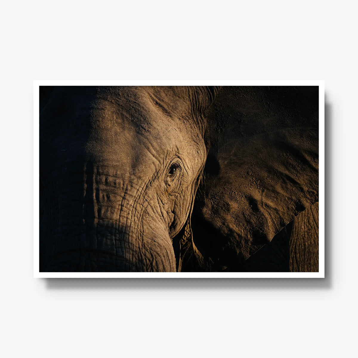 Etched — gallery / white / full