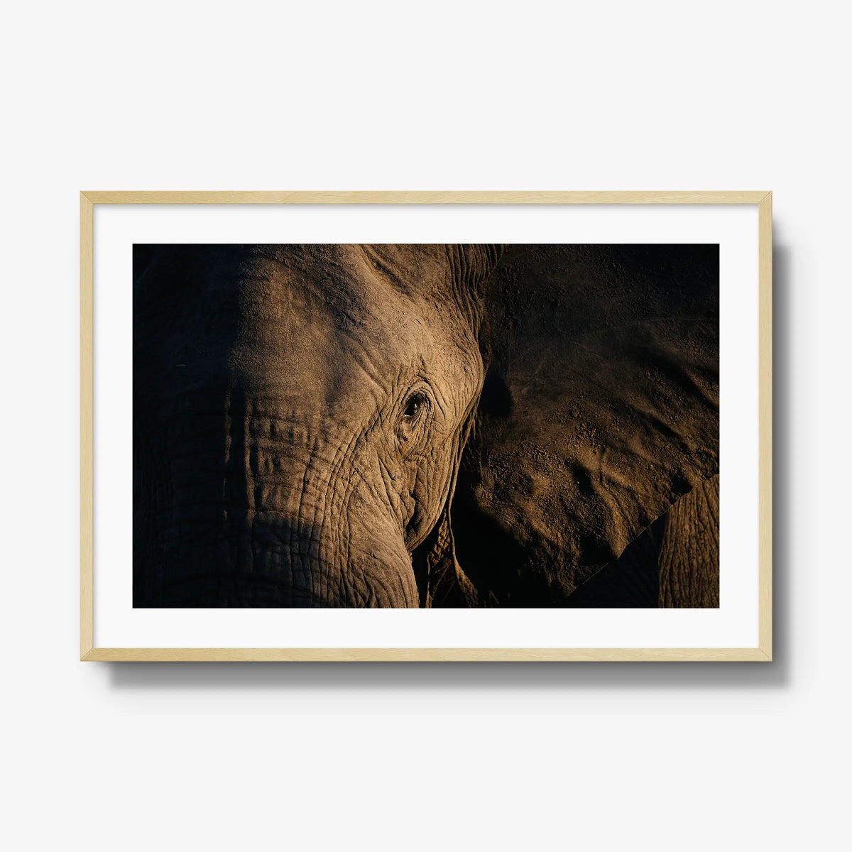 Etched — gallery / natural / mat