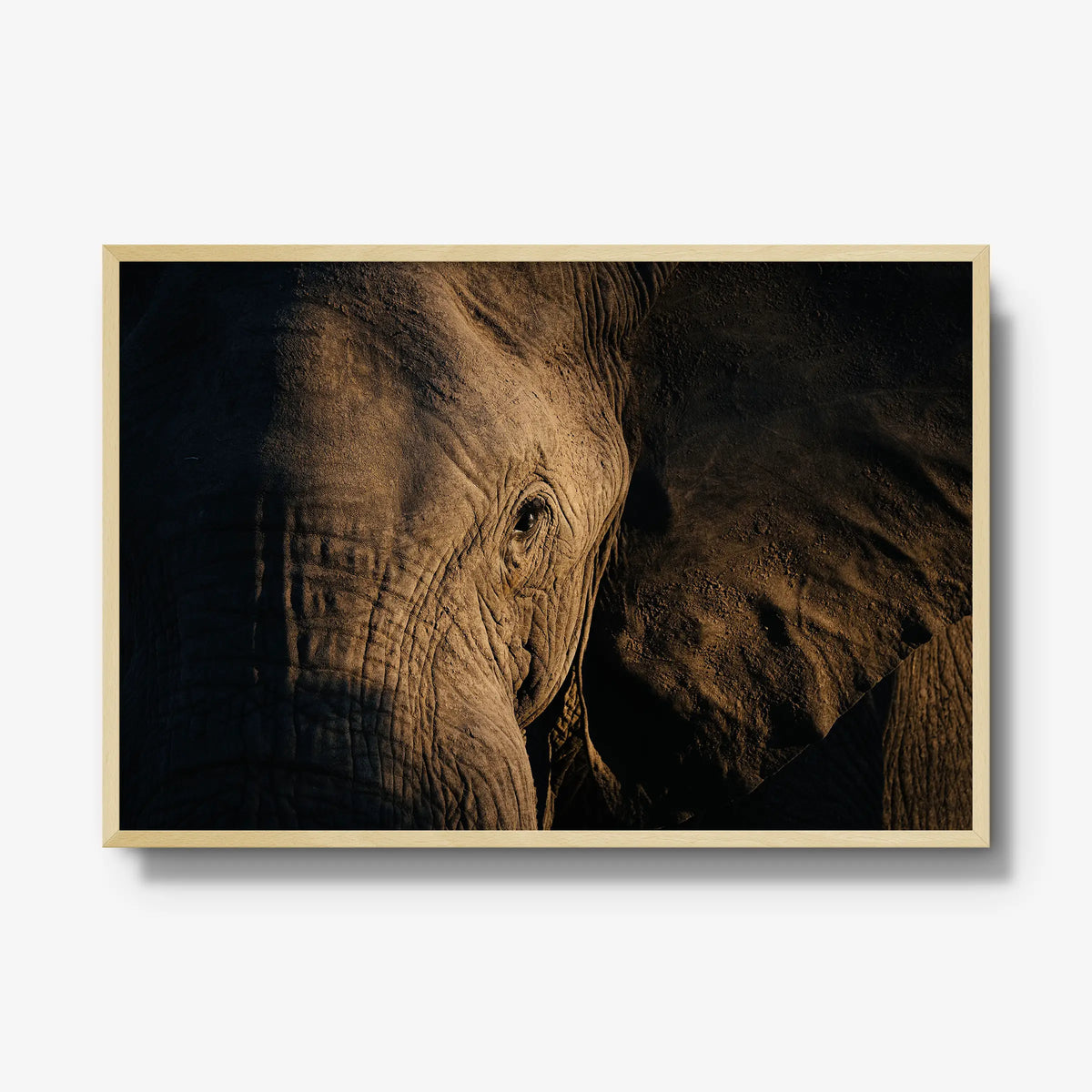 Etched — gallery / natural / full