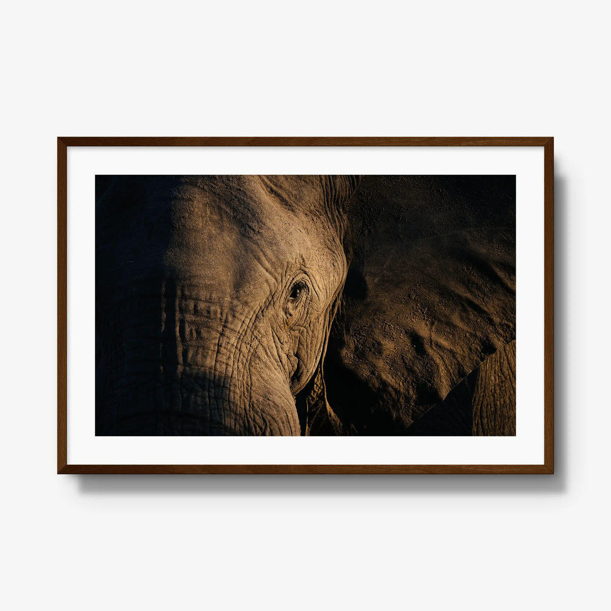 Etched — gallery / brown / mat