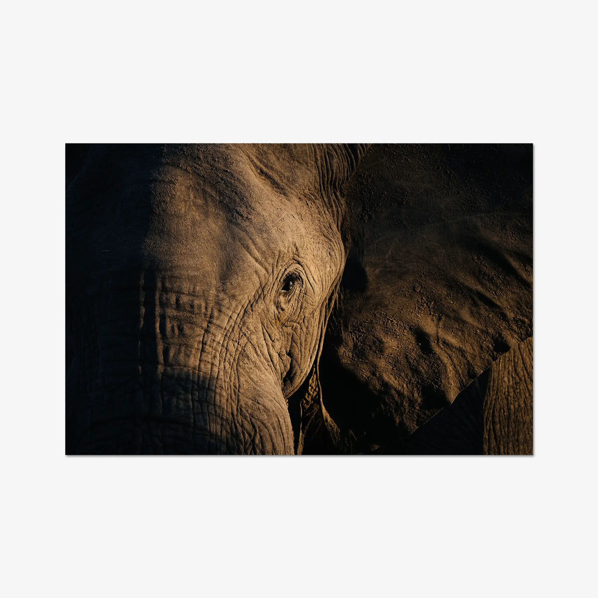Etched — gallery / print / n/a