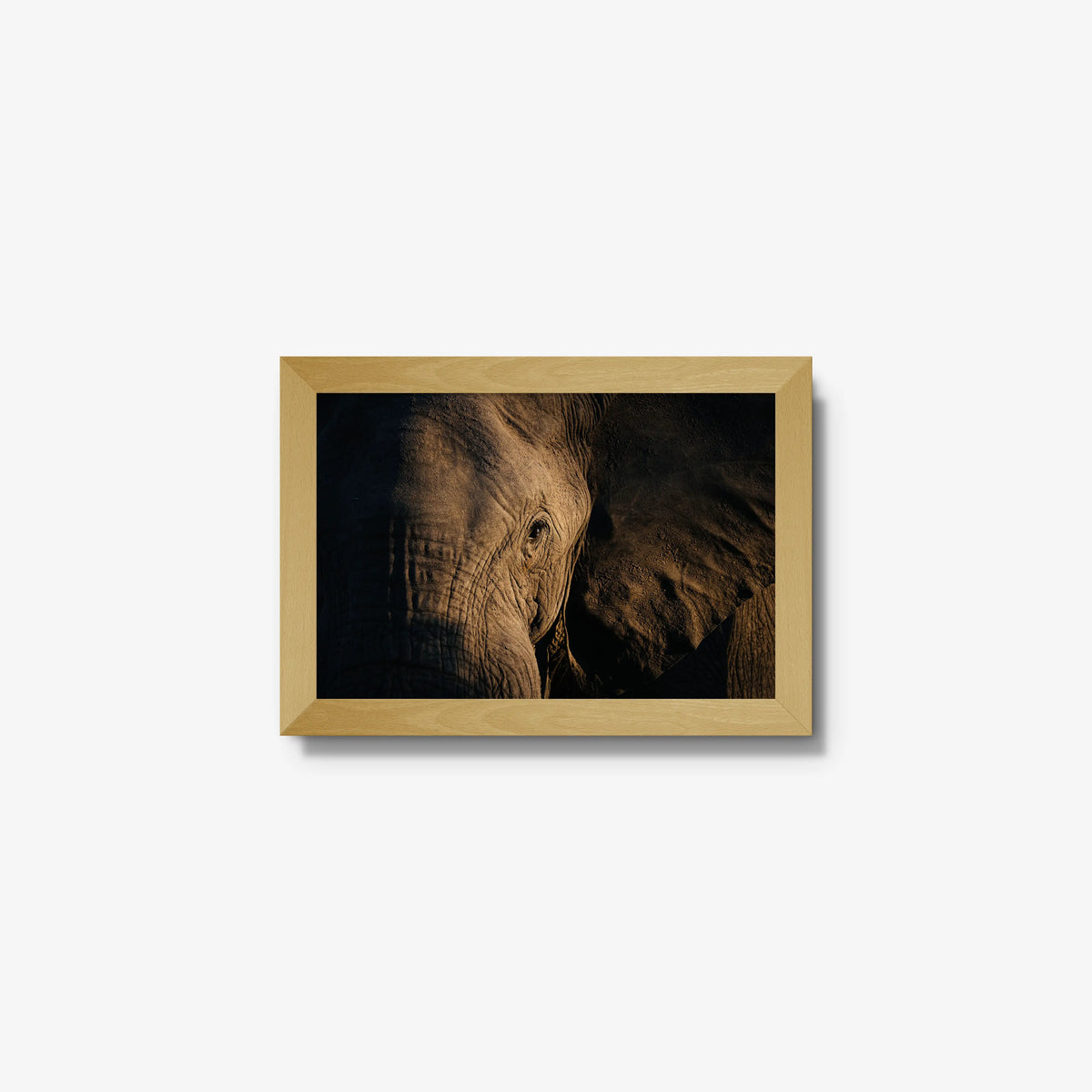 Etched — mini / natural / full