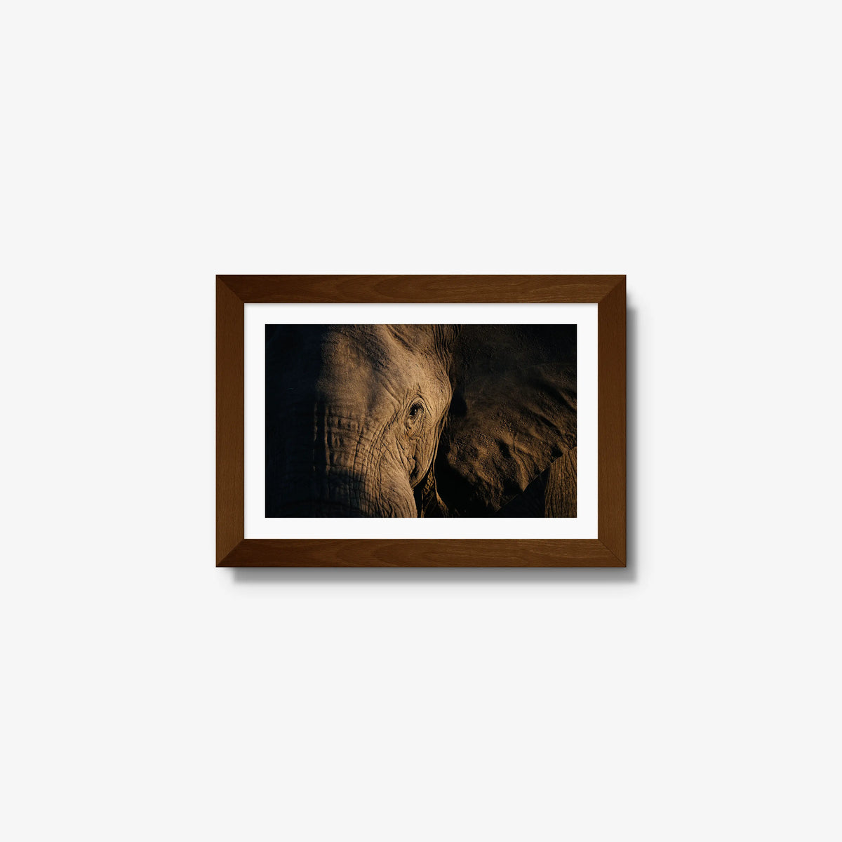 Etched — mini / brown / mat
