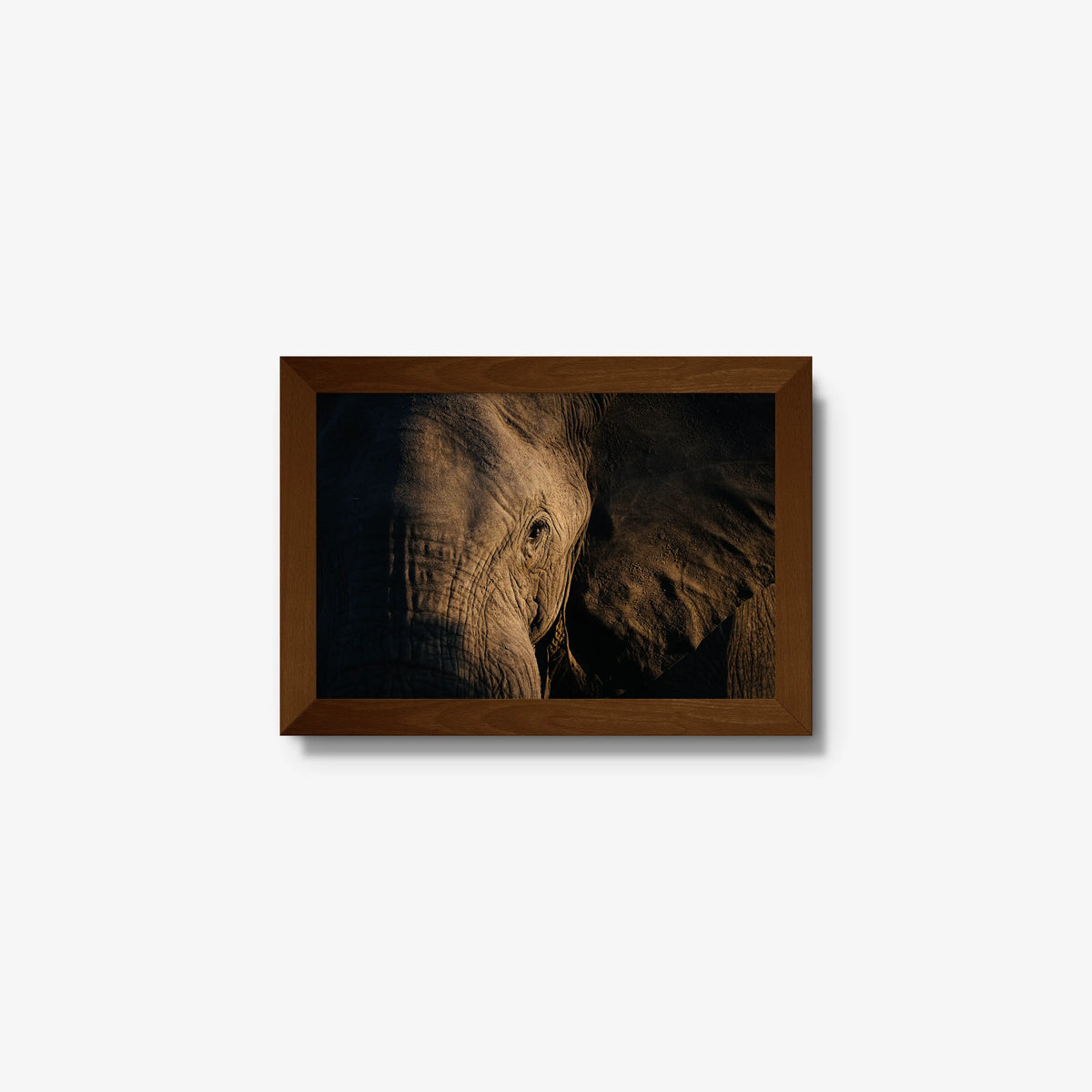 Etched — mini / brown / full