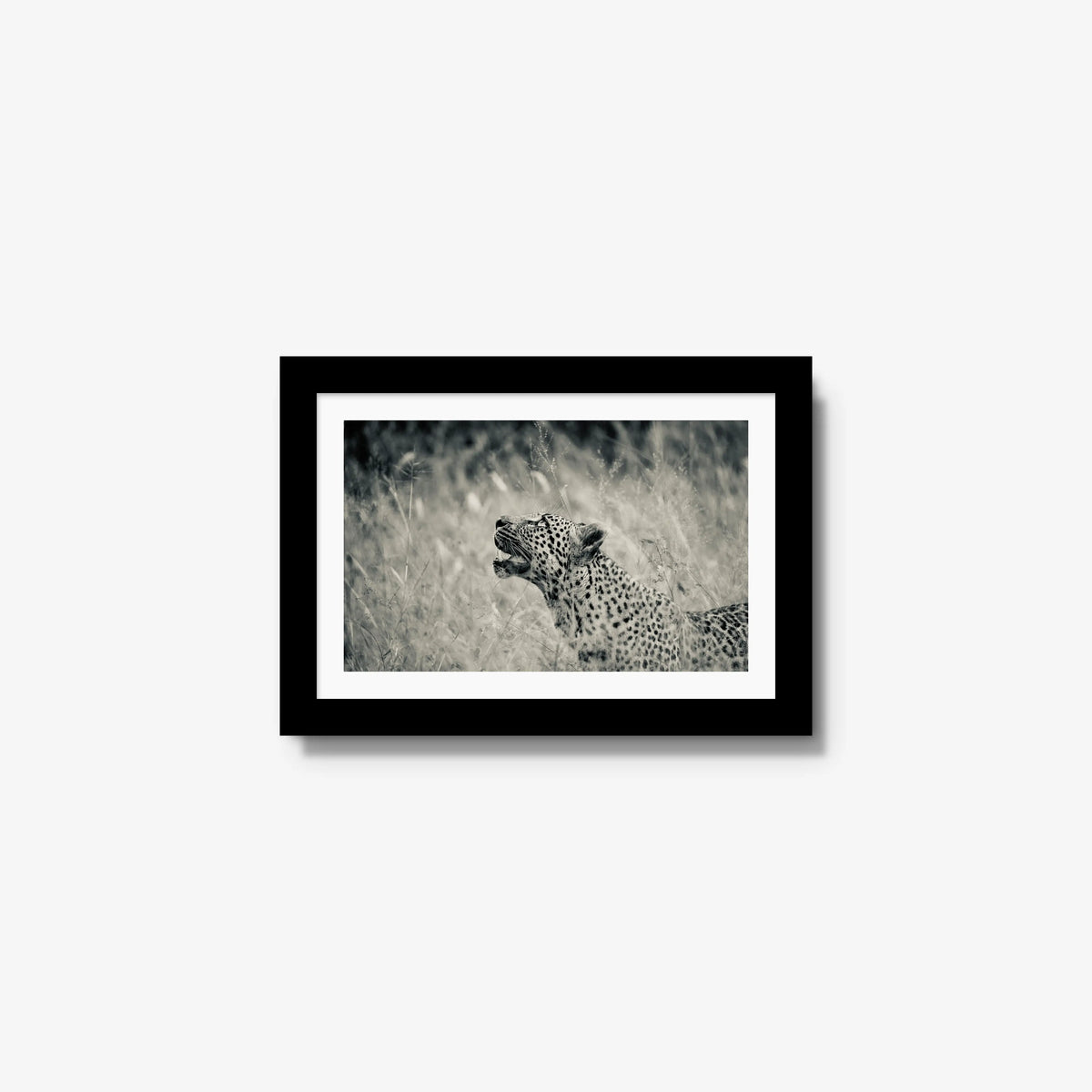 Windward — mini / black / mat