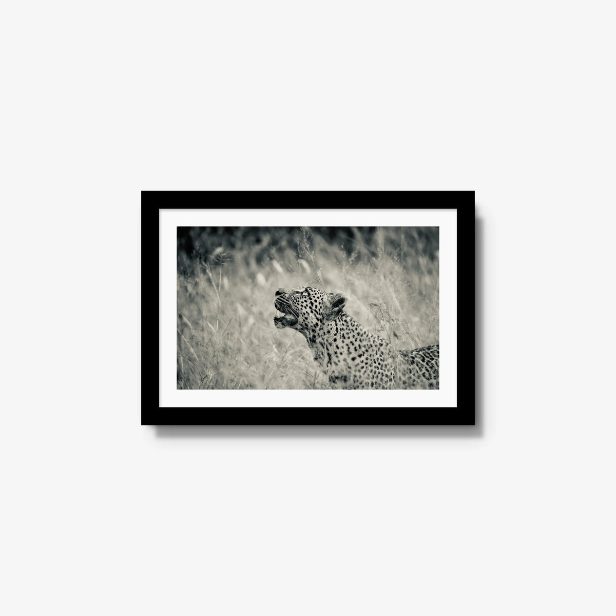 Windward — small / black / mat