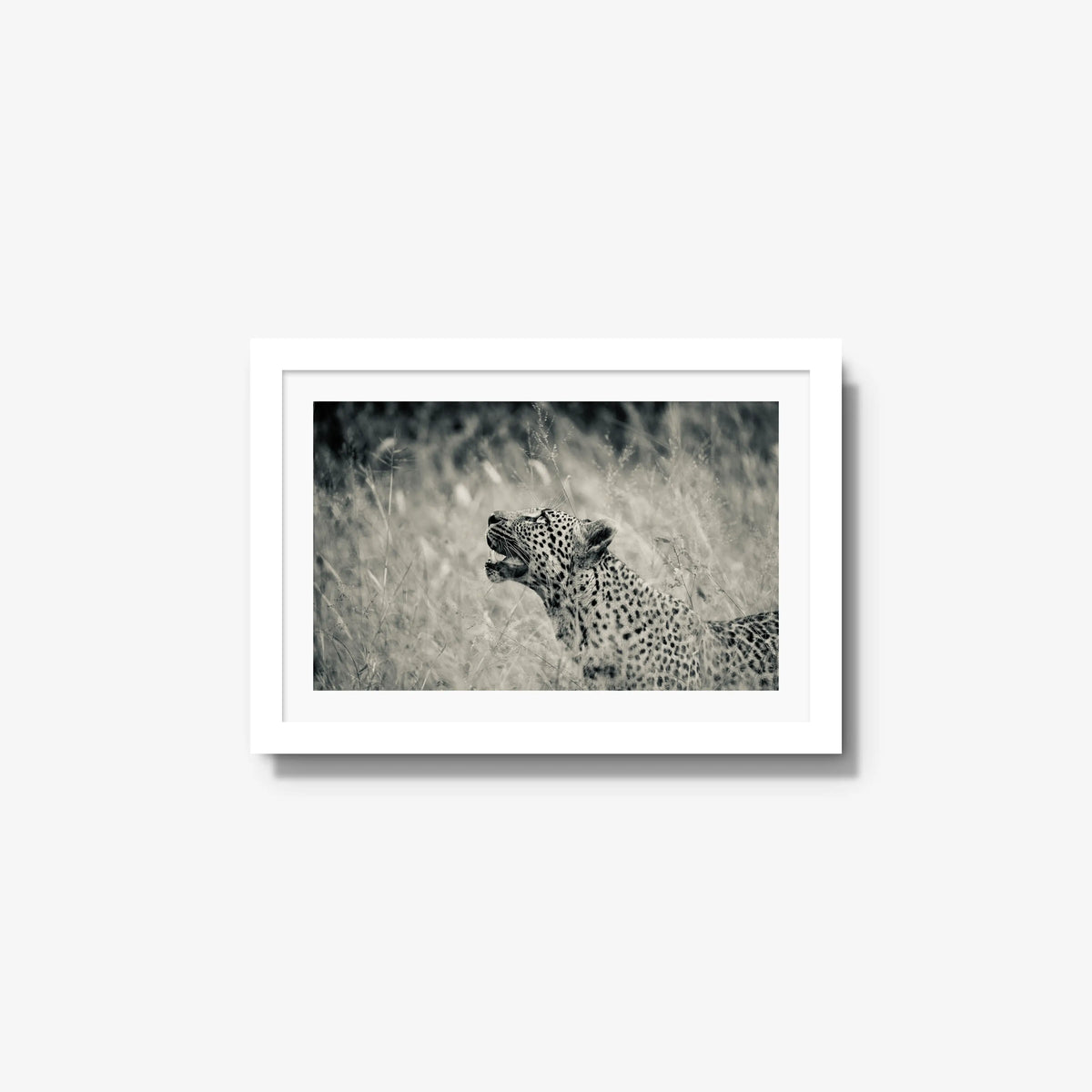 Windward — small / white / mat