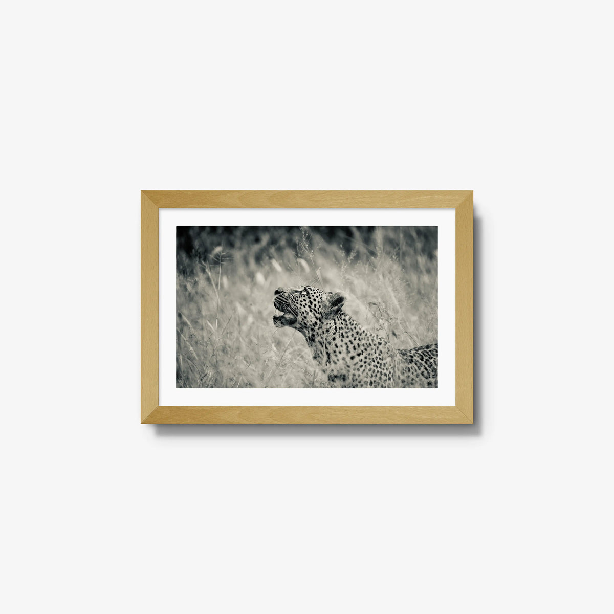 Windward — small / natural / mat