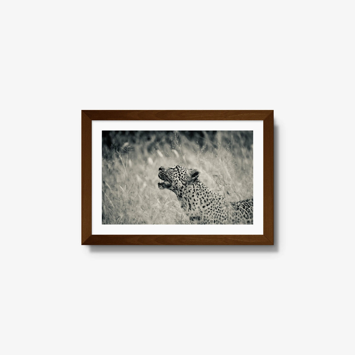Windward — small / brown / mat