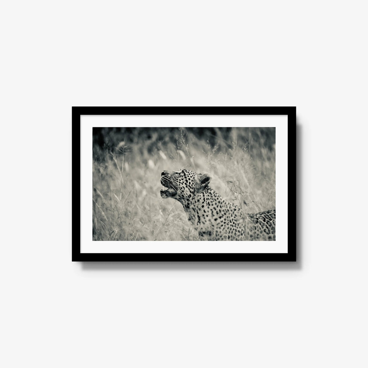 Windward — medium / black / mat