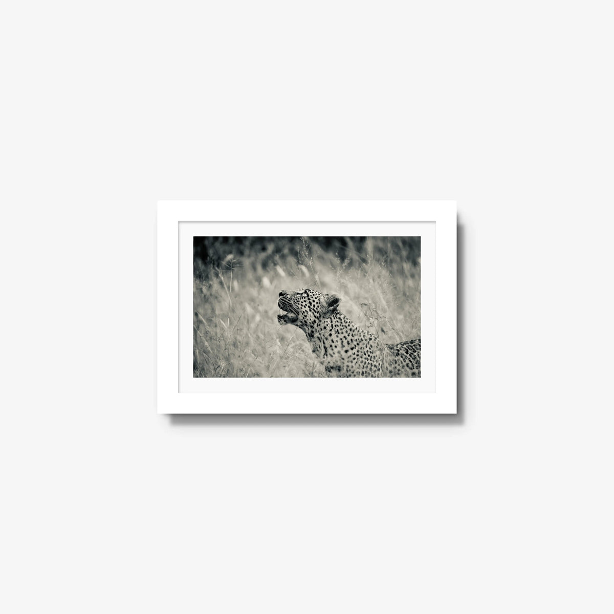 Windward — mini / white / mat