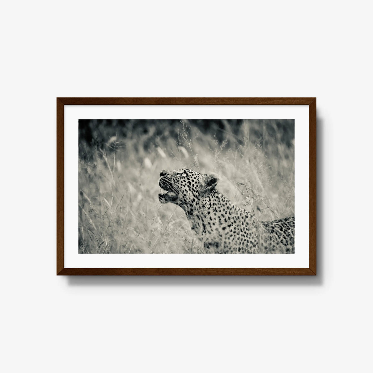 Windward — large / brown / mat