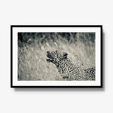 Windward — gallery / black / mat