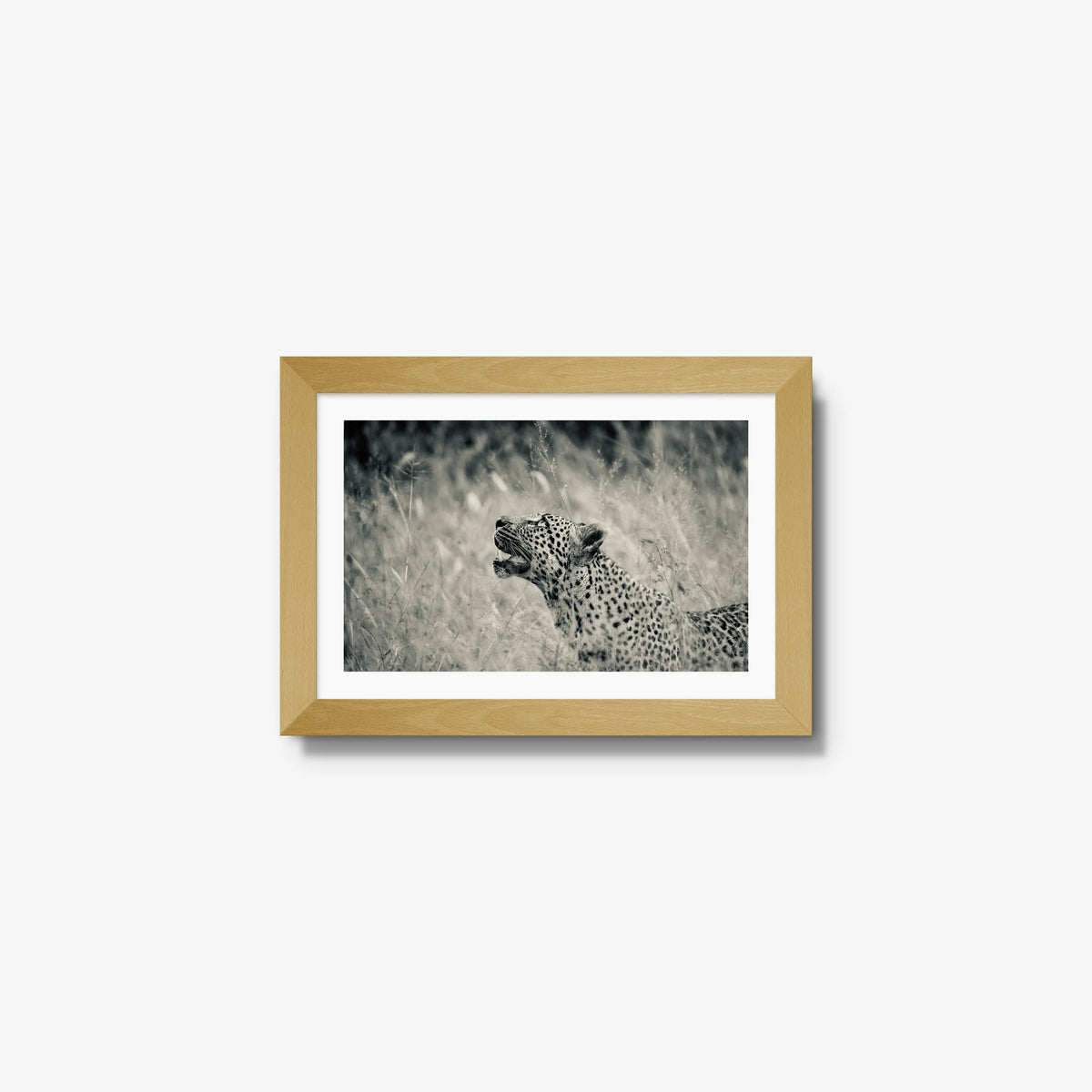 Windward — mini / natural / mat