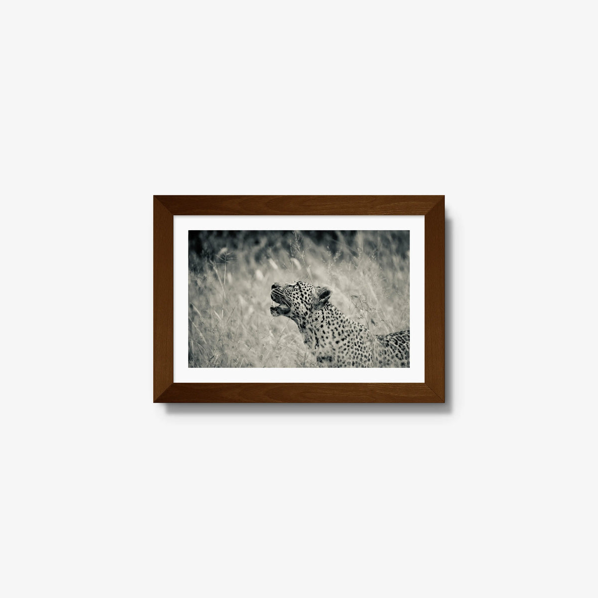 Windward — mini / brown / mat