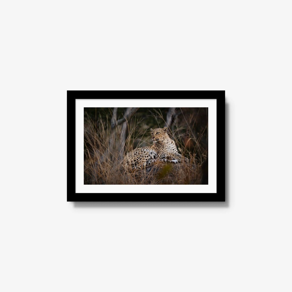 Veiled — small / black / mat