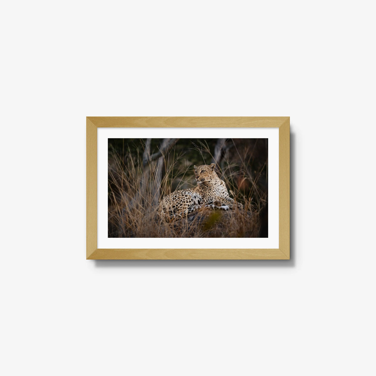 Veiled — small / natural / mat