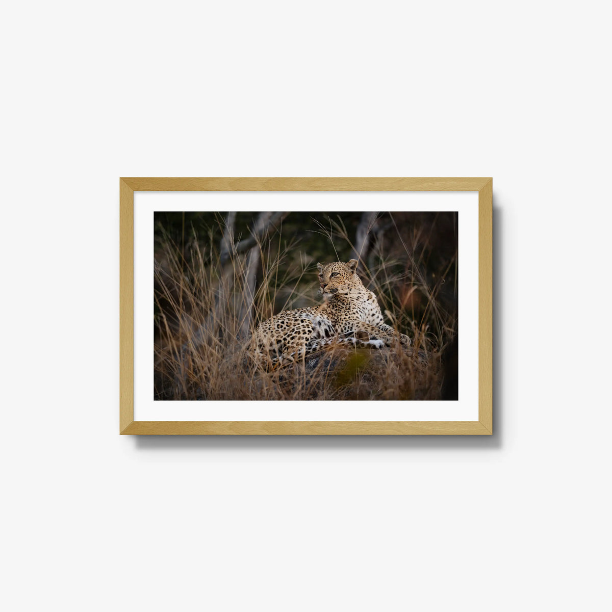 Veiled — medium / natural / mat