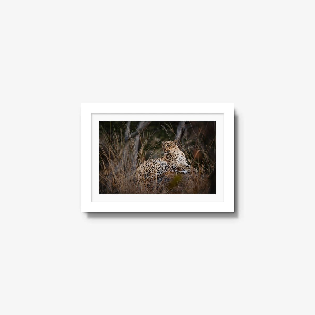 Veiled — mini / white / mat