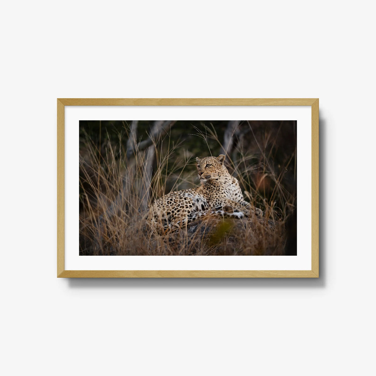 Veiled — large / natural / mat