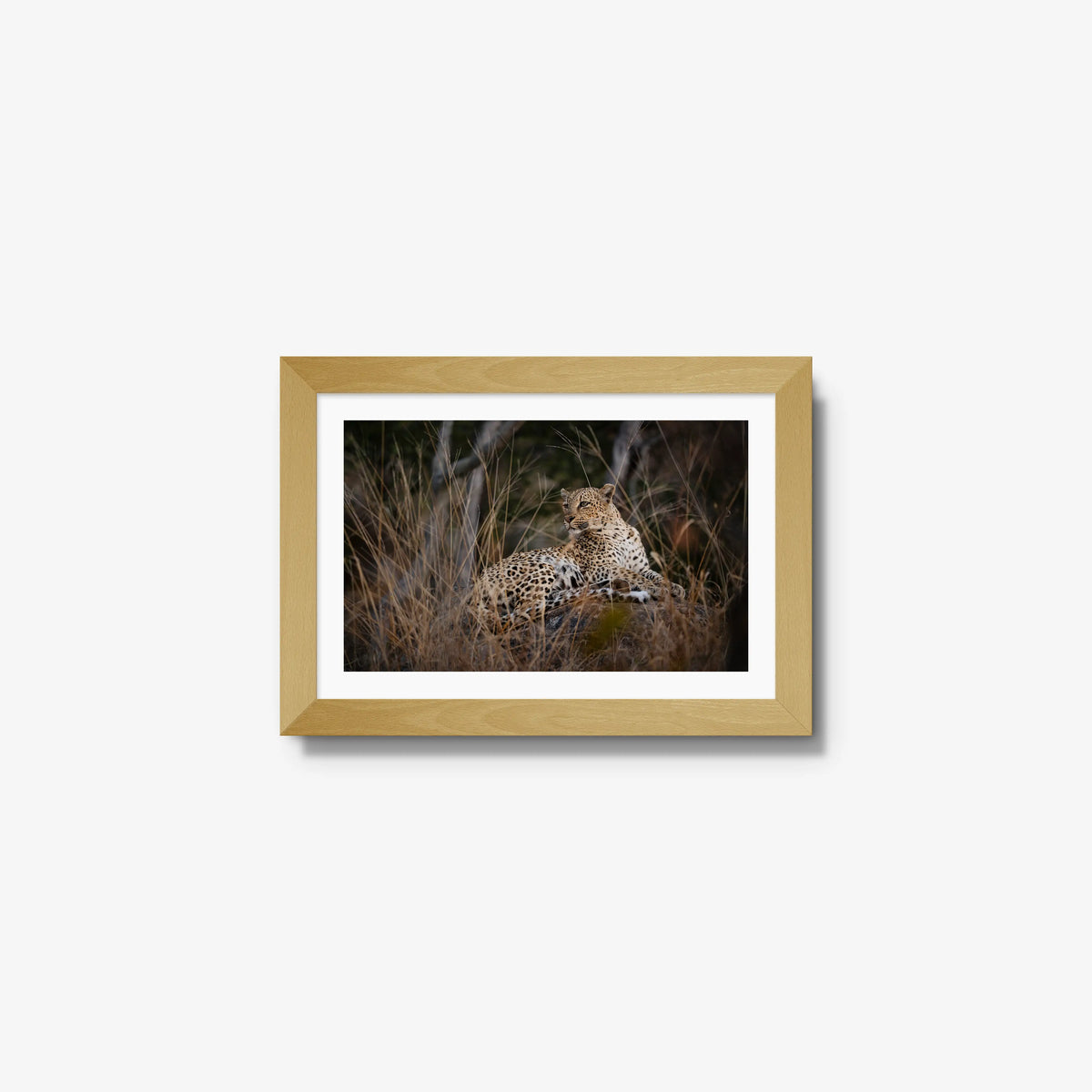 Veiled — mini / natural / mat