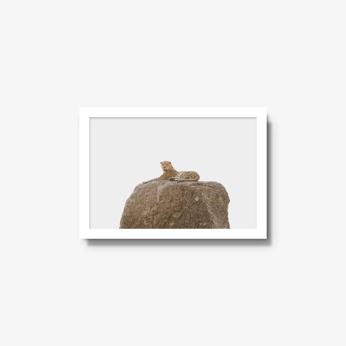 The Pedestal — small / white / full