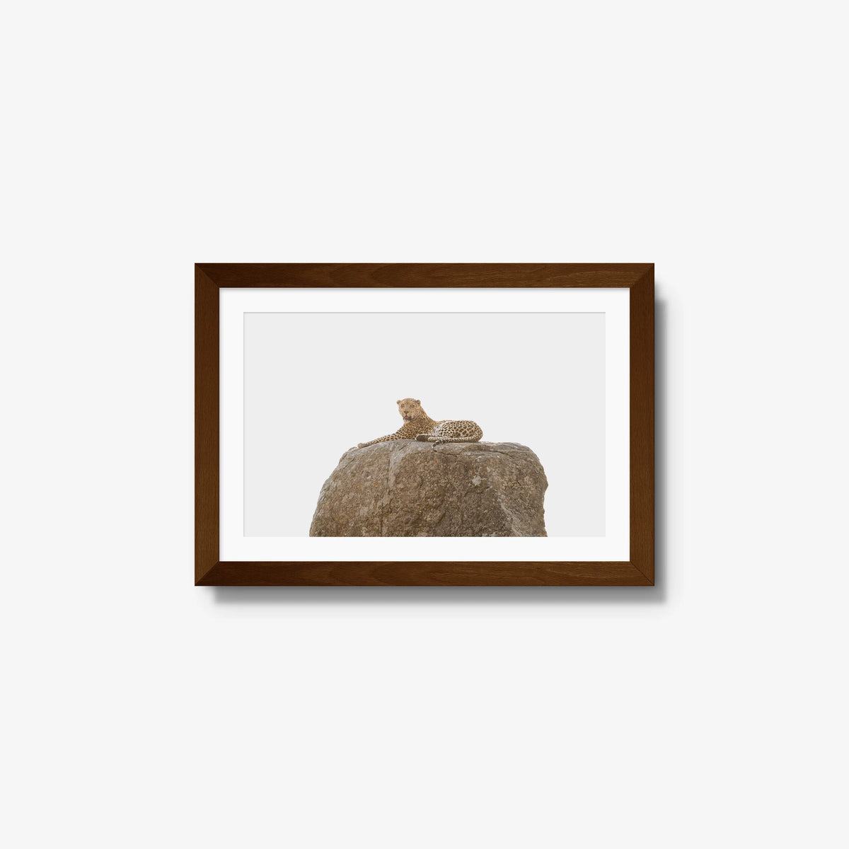 The Pedestal — small / brown / mat