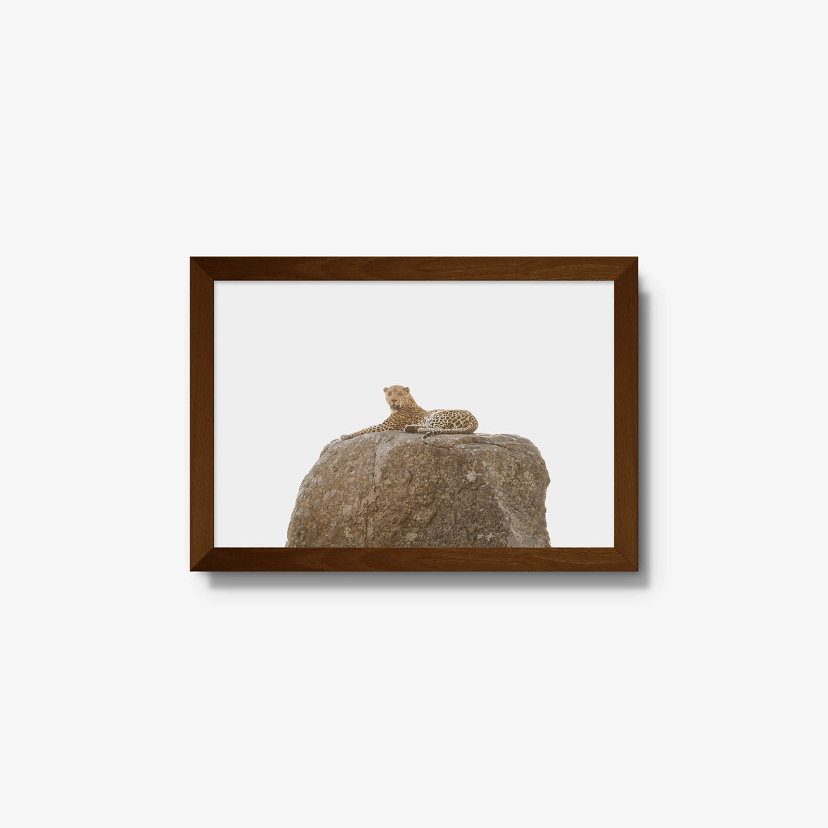 The Pedestal — small / brown / full