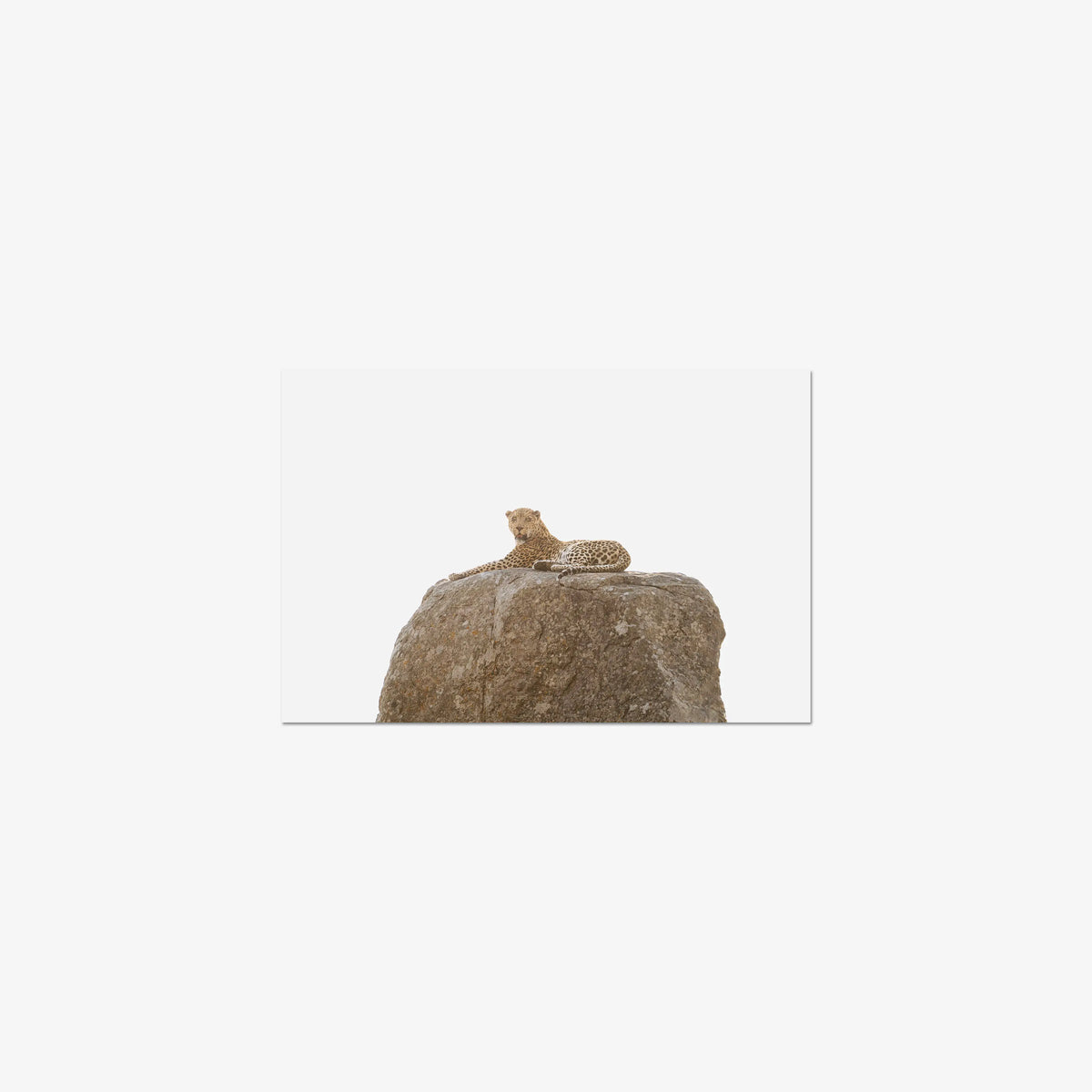 The Pedestal — small / print / n/a