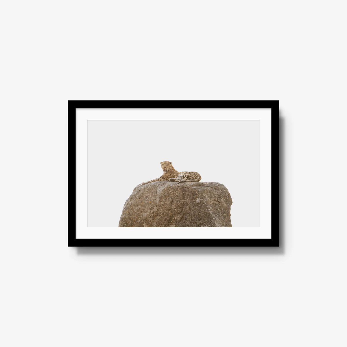 The Pedestal — medium / black / mat