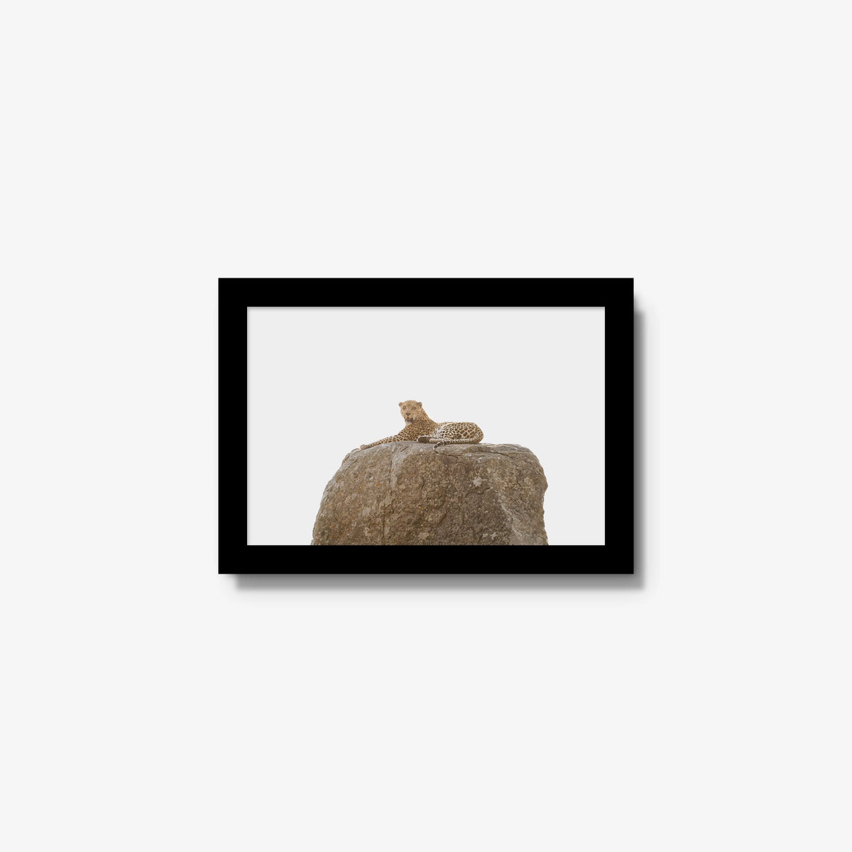 The Pedestal — mini / black / full