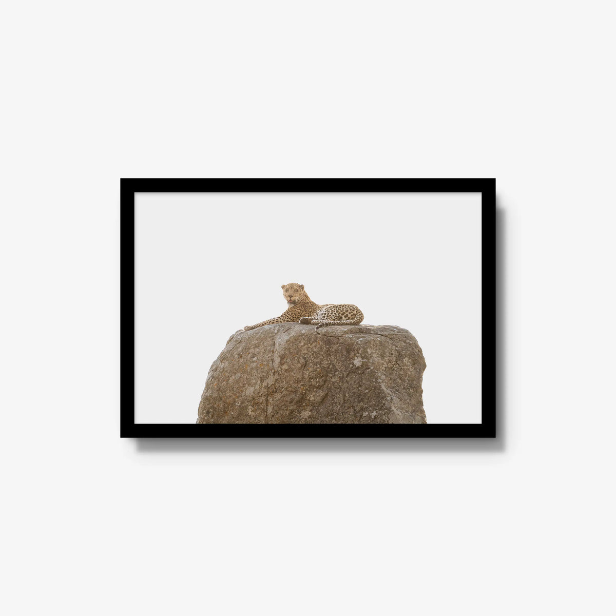 The Pedestal — medium / black / full