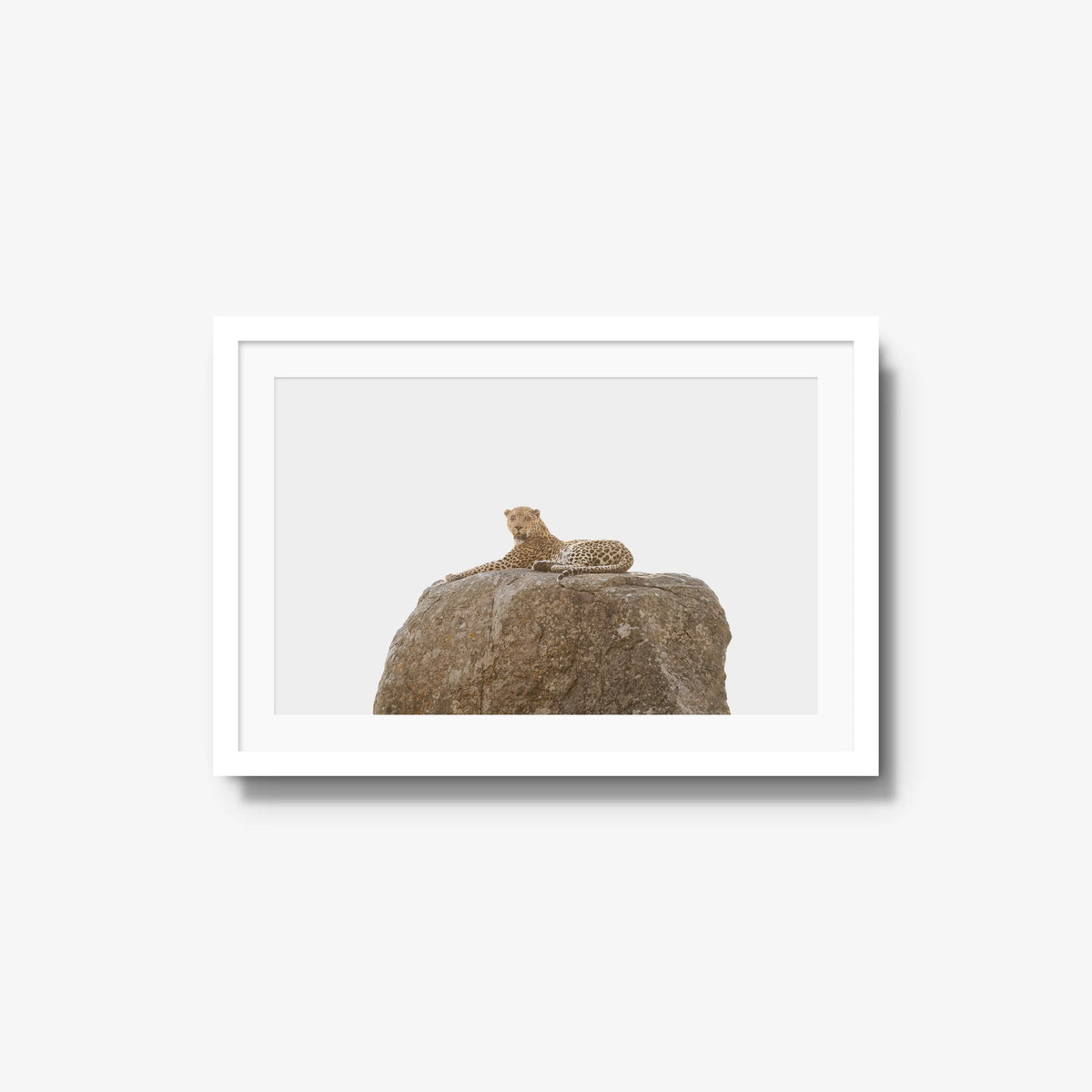 The Pedestal — medium / white / mat