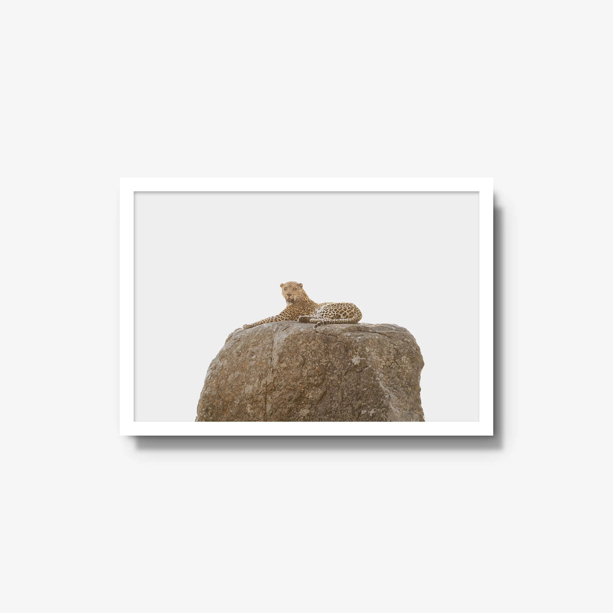 The Pedestal — medium / white / full
