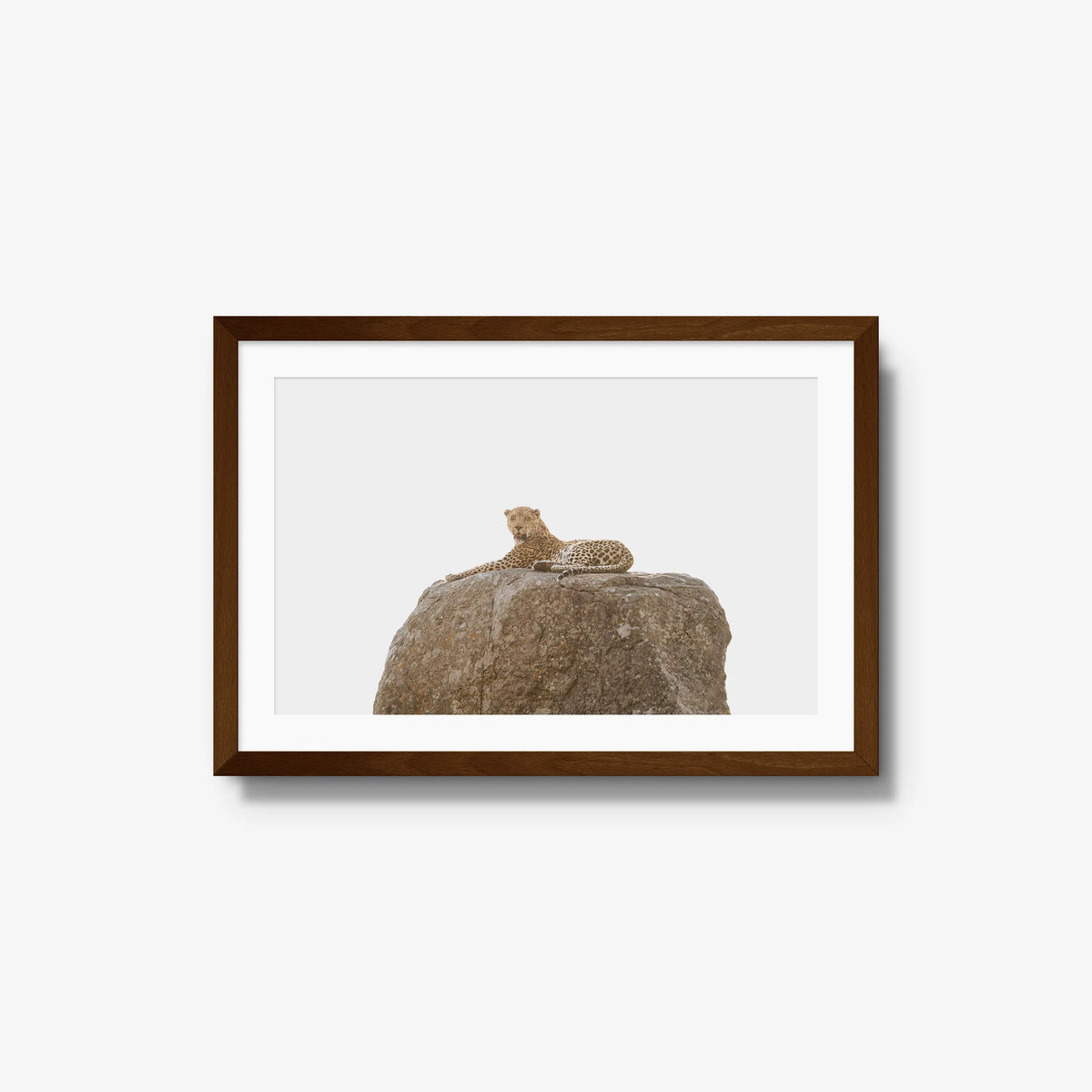 The Pedestal — medium / brown / mat