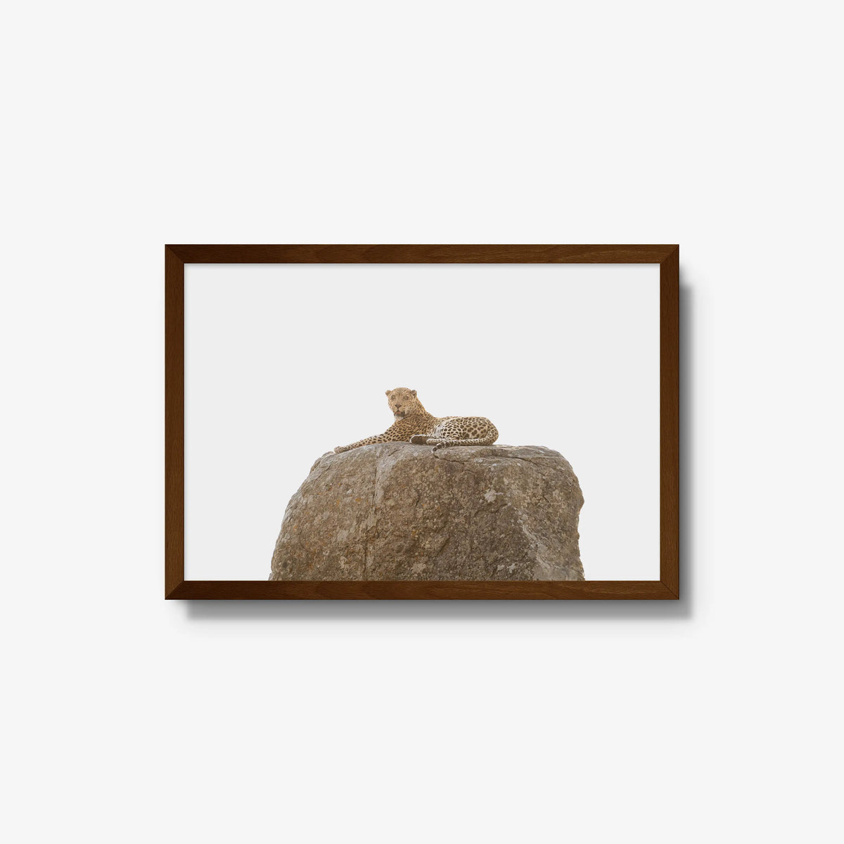 The Pedestal — medium / brown / full