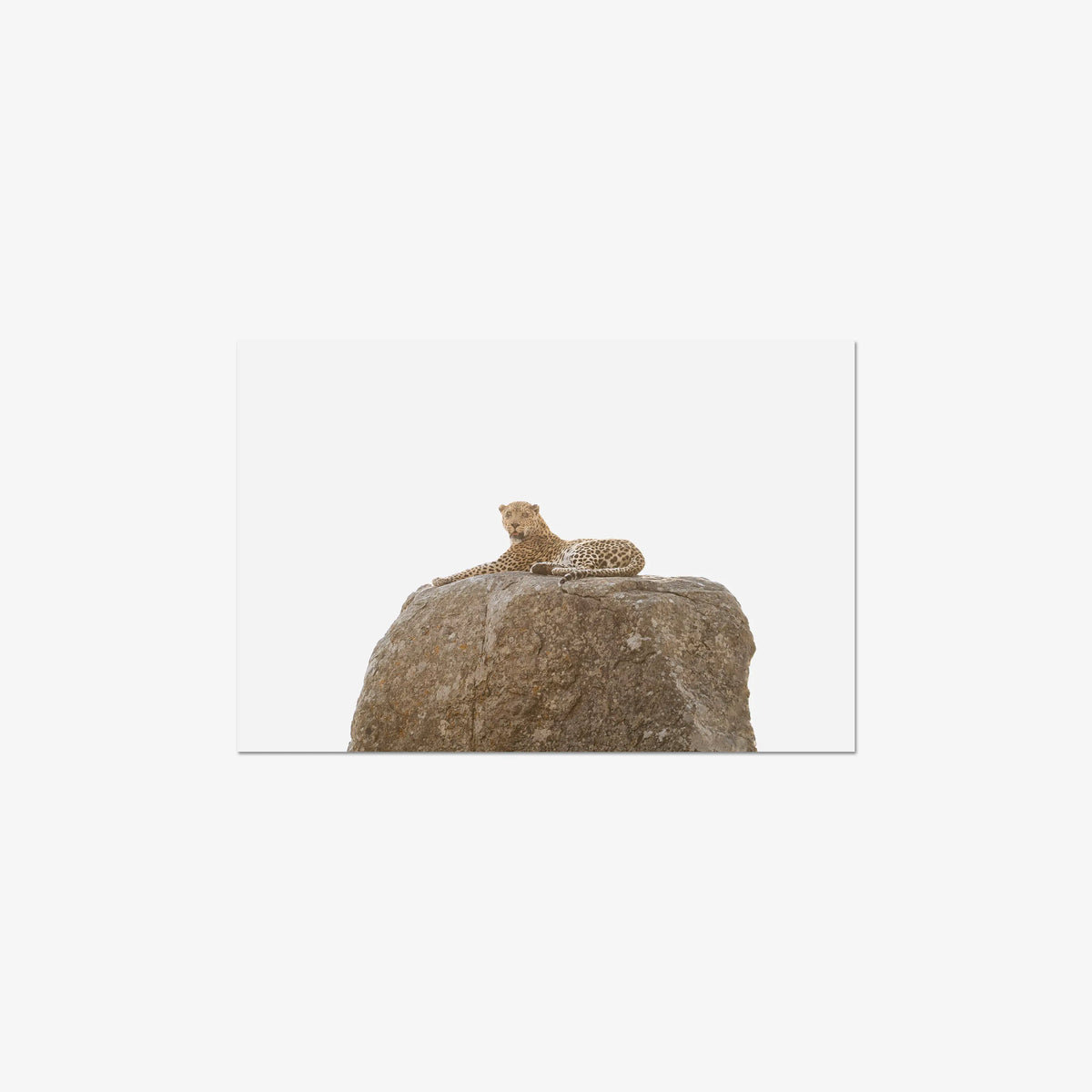 The Pedestal — medium / print / n/a