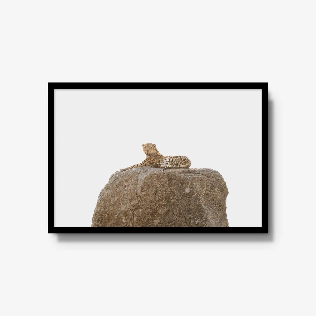 The Pedestal — large / black / full