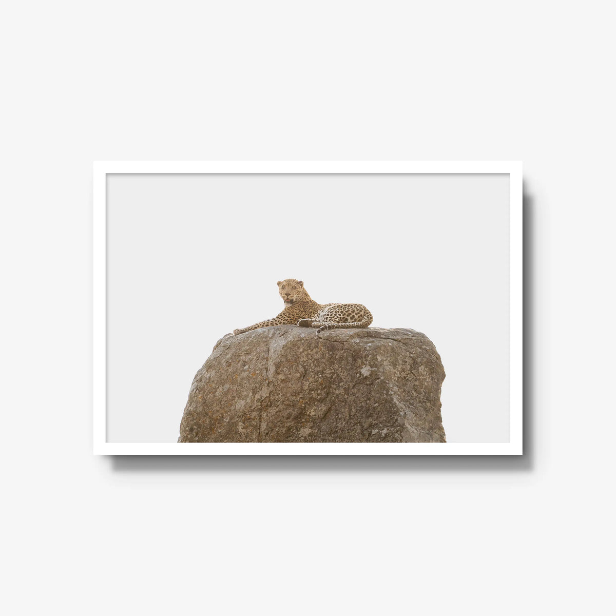 The Pedestal — large / white / full