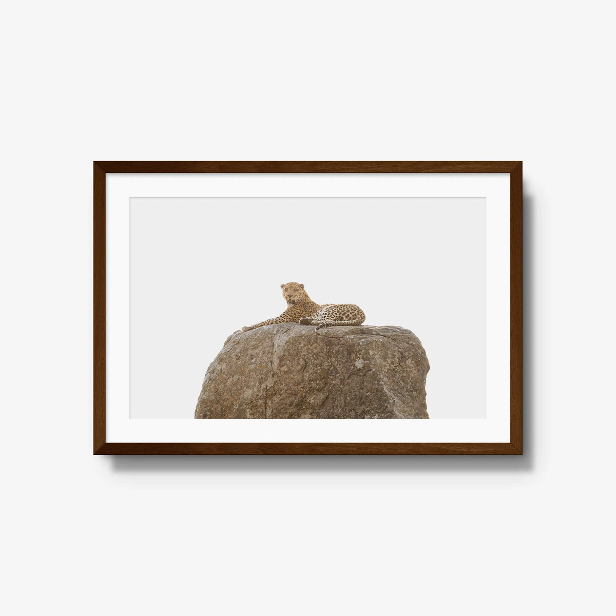 The Pedestal — large / brown / mat