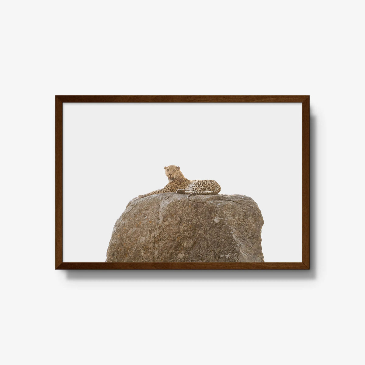The Pedestal — large / brown / full