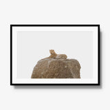 The Pedestal — gallery / black / mat