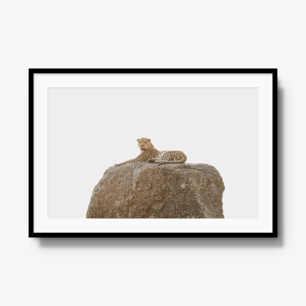 The Pedestal — gallery / black / mat