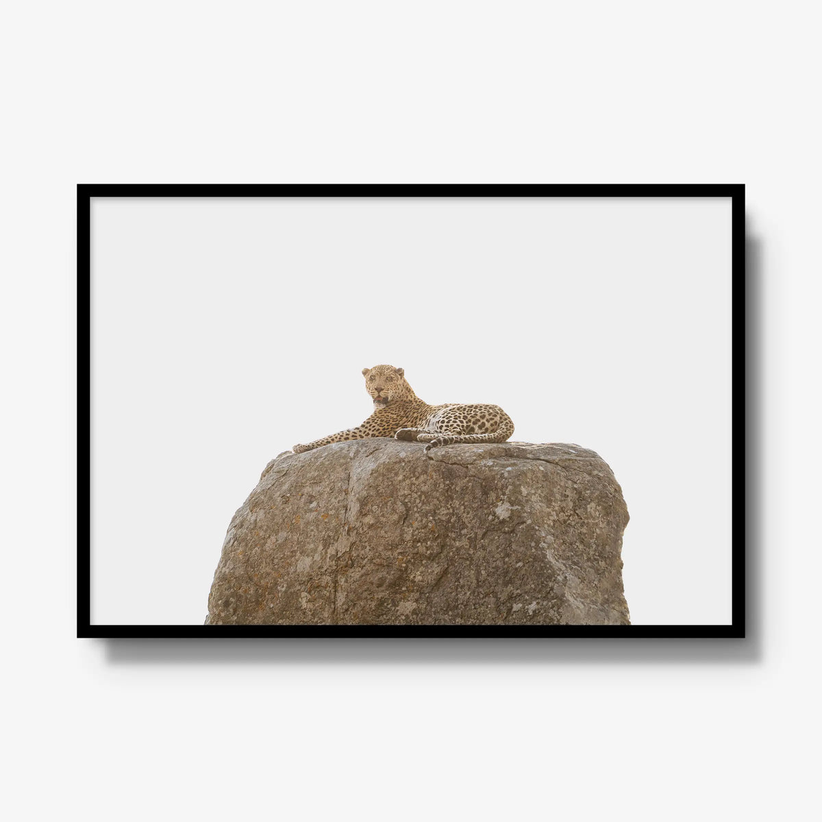 The Pedestal — gallery / black / full