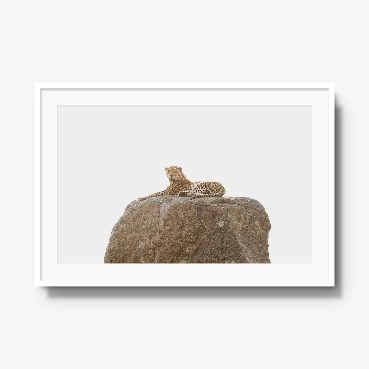 The Pedestal — gallery / white / mat