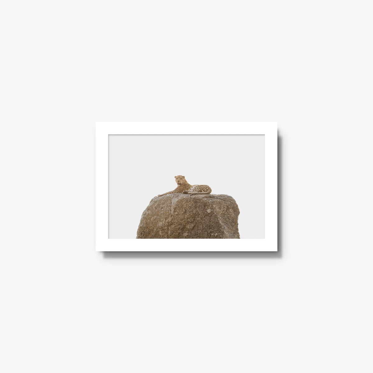 The Pedestal — mini / white / full