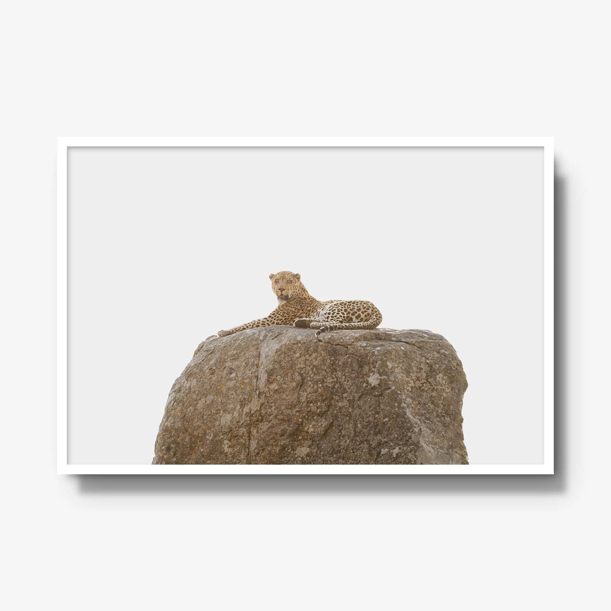 The Pedestal — gallery / white / full